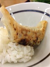 活動報告