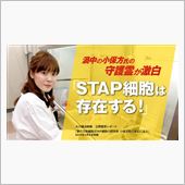 気になって仕方のないSTAP ...