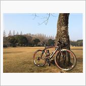 自転車の走り納め