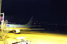 年末なのに・・・・（謎）