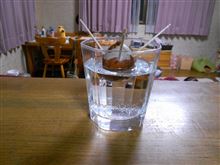 アボカド2号