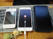 iPhone4S→iPhone6へ