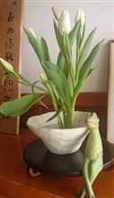 さよなら～、往く年　(*&#180;∀人)ありがとう♪