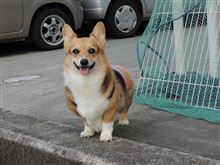 2014年終わりますね～