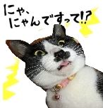 2014年まとめ 2014年まとめ