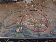 啄木鳥戦法は無かった? 啄木鳥戦法は無かった?
