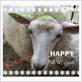 謹賀新年2015