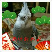 あけおめ♪