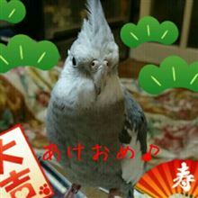 あけおめ♪
