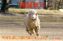 2015年  謹賀新年 (*^ヮ^*) 