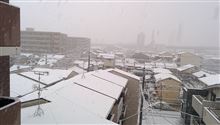 京都も積雪です