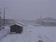 ２０１５’謹賀新年、雪の京都です。