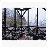 初雪です