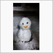 明けまして…  雪!!