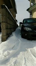 恭賀新年～今日も平常運転です～