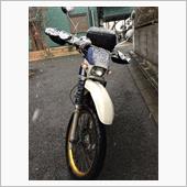 2015年・走り初め
