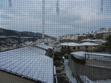 White　New　Year