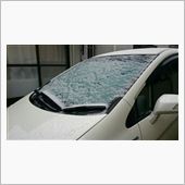 雪でした～(^-^;