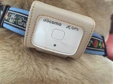 ペットフィット