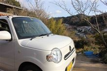 正月は田舎でマッタリ～♪