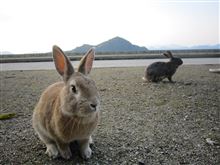 うさぎの島へ うさぎの島へ