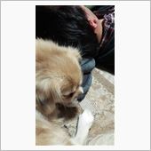 いいんだか、悪いんだかwww