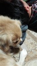いいんだか、悪いんだかwww いいんだか、悪いんだかwww