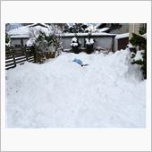 2015大雪正月