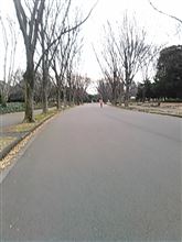 連休最終日