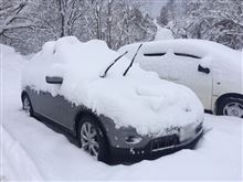 大雪万歳( &#180; ▽ ` )ﾉ