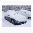 大雪万歳( &#180; ▽ ` )ﾉ
