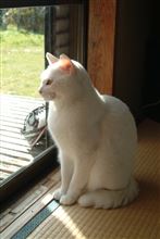灯台元暗し
