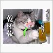 遅ればせながら…(^_^;)