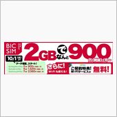 BIC SIMと6か月点検と