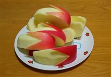 活動開始↗ 活動開始↗