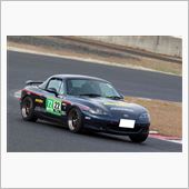２０１５年のカーライフ宣言！