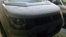遅くなりましたが(^-^;