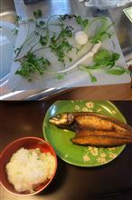 露天風呂シリーズ:天風の湯&めぐみの湯 露天風呂シリーズ:天風の湯&めぐみの湯