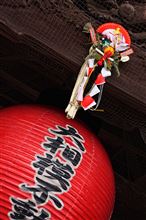 謹賀新年と野鳥の森