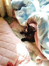 漸く
