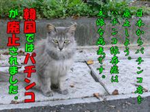 違法なのだから、トドメに課税してやれば良いのに笑