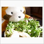 もう草は飽きたわ・・・