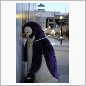 おはようございまちゅ