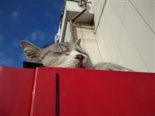 遅くなりましたが・・・(-_-;)今年もよろしくお願いしますm(_ _)m