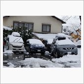 寒いネ