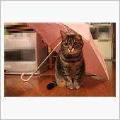 なにげな～く～♪（笑）