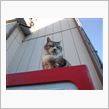 久しぶりの「爆食！」(^_^;)本日の「とよタマ食堂（爆）」(^-^)/