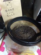 エチオピア イルガチェフェ