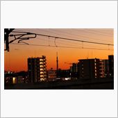 sahi_moriさんと元祖 ...