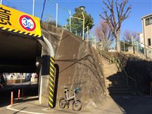 玉川上水の水道道路